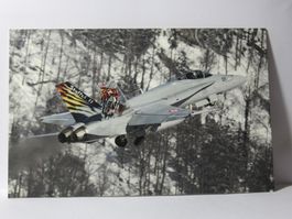 Flugzeug  F/A - 18C Hornet - Fliegerstaffel 11 << Tigers  >>