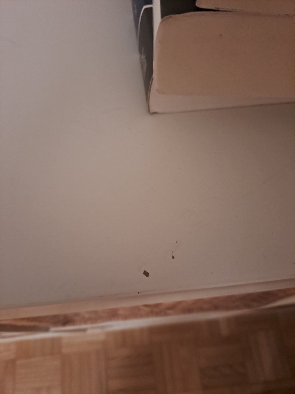 Ikea Regale: Kallax Regal weiss – Neu (gemäss Beschreibung) aus Wädenswil von FrieBro 3