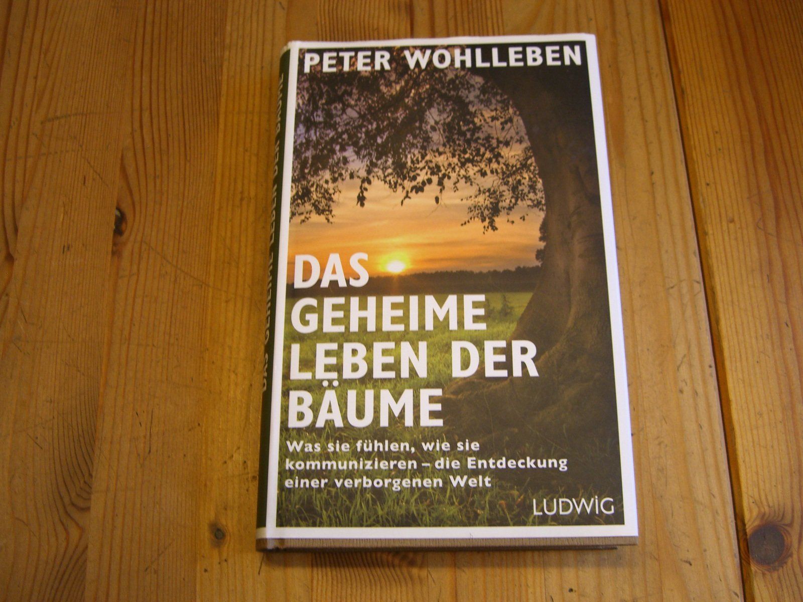 Sachbücher & Ratgeber: Das geheime Leben der Bäume von Peter Wohlleben – Gebraucht aus Winterthur von