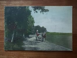 AK  1906 Frau auf Pferdewagen    (G2737)