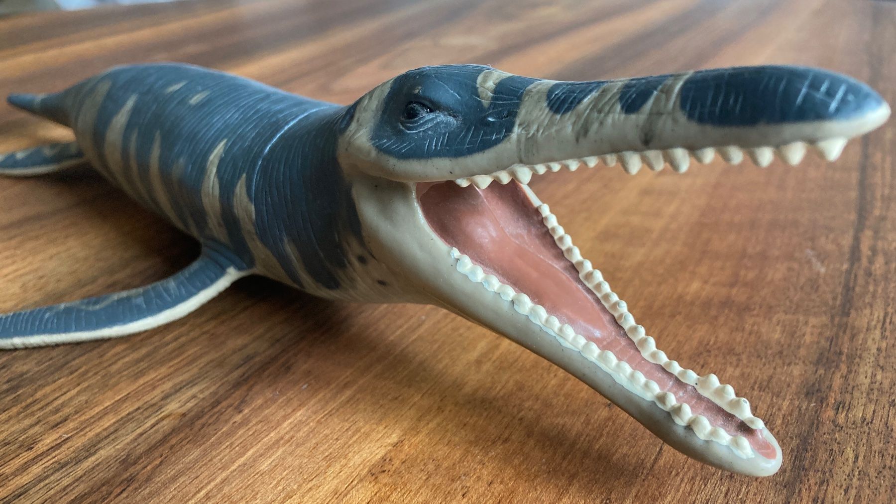 Schleich Spielzeuge: Kronosaurus Dinosaurier Modell / Safari Ltd. / 33cm Länge – Neu (gemäss Beschreibung) aus Kreuzlingen von tummetott71 6