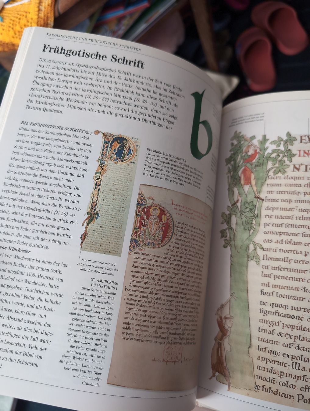 Livres: Die Kunst der Kalligraphie  – D'occasion à Bern par berneroberlaenderin 5