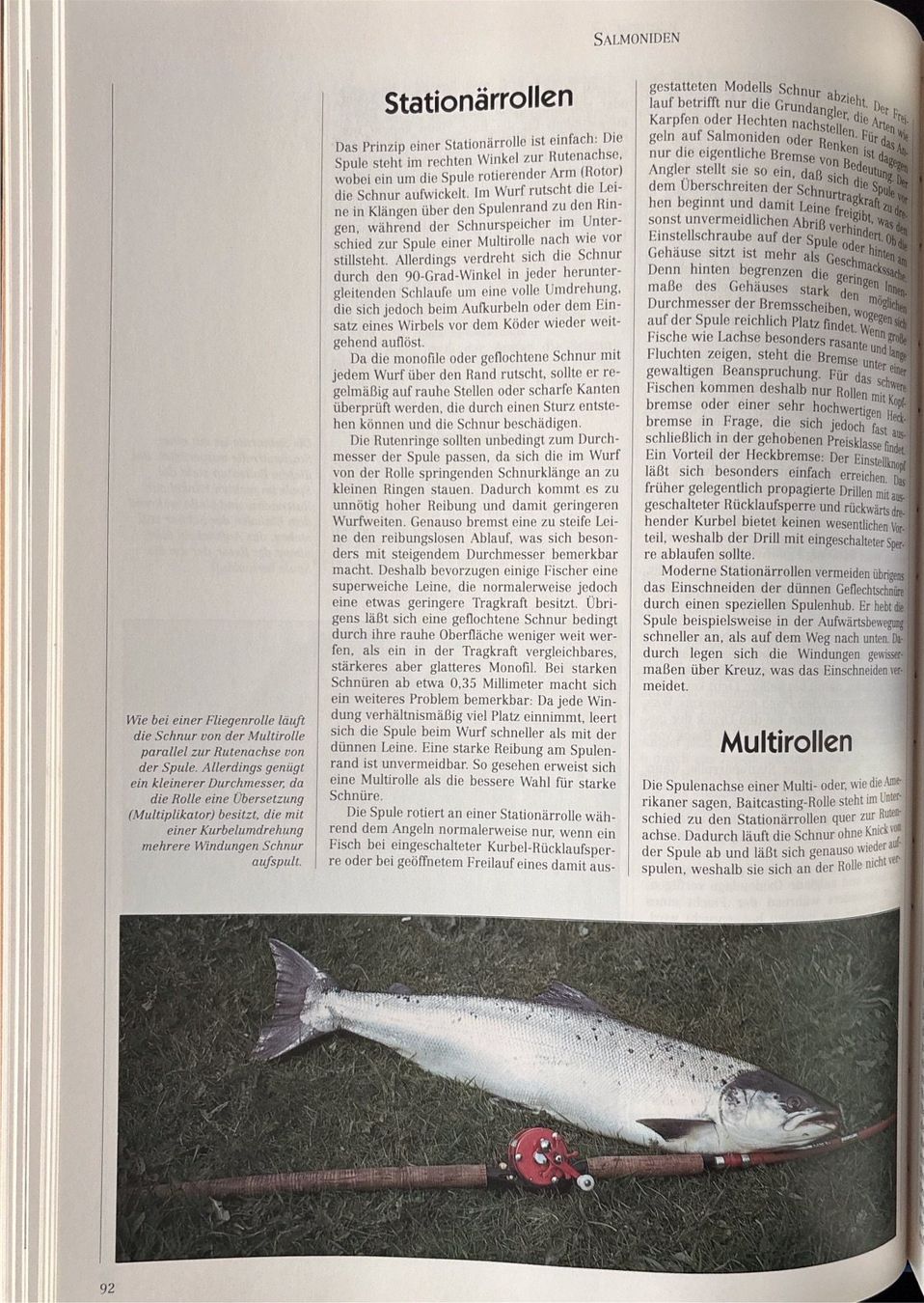Libri: John Buckland, Salmoniden – Nuovo (secondo la descrizione) da Sarnen venduto da Livres 7