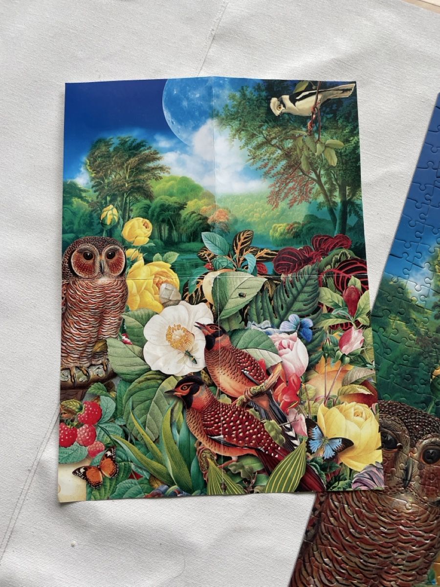 Puzzles: Jigsaw Puzzle 1000 Teile – Gebraucht aus Zürich von Lupini 1