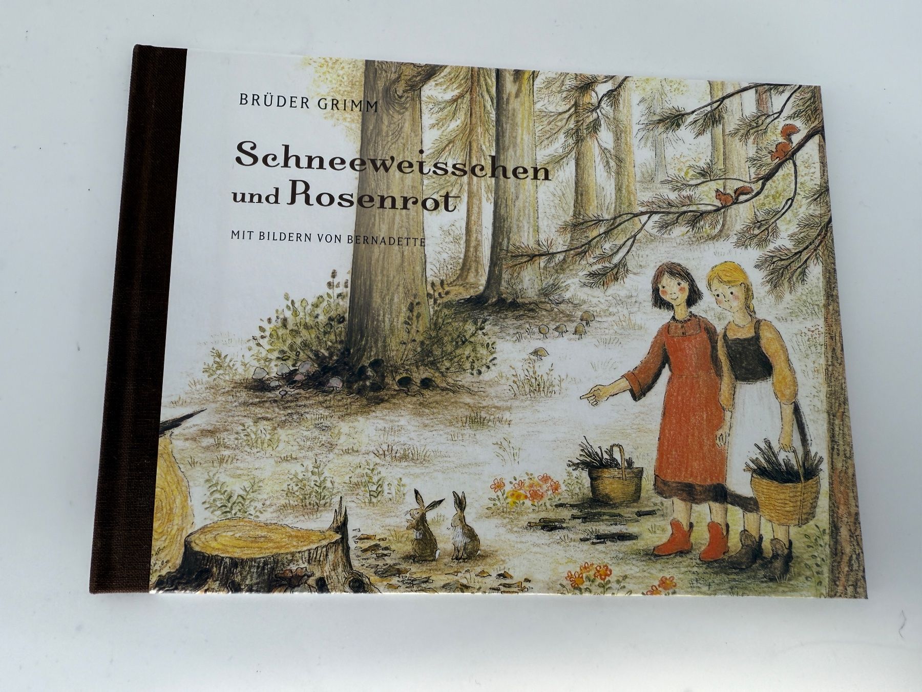 Libri: Kinderbuch Schneeweisschen und Rosenrot – Usato da Auenstein venduto da moin.