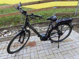 Pegasus E-Bike Bosch Performance Line Trapez Damenrad defekt