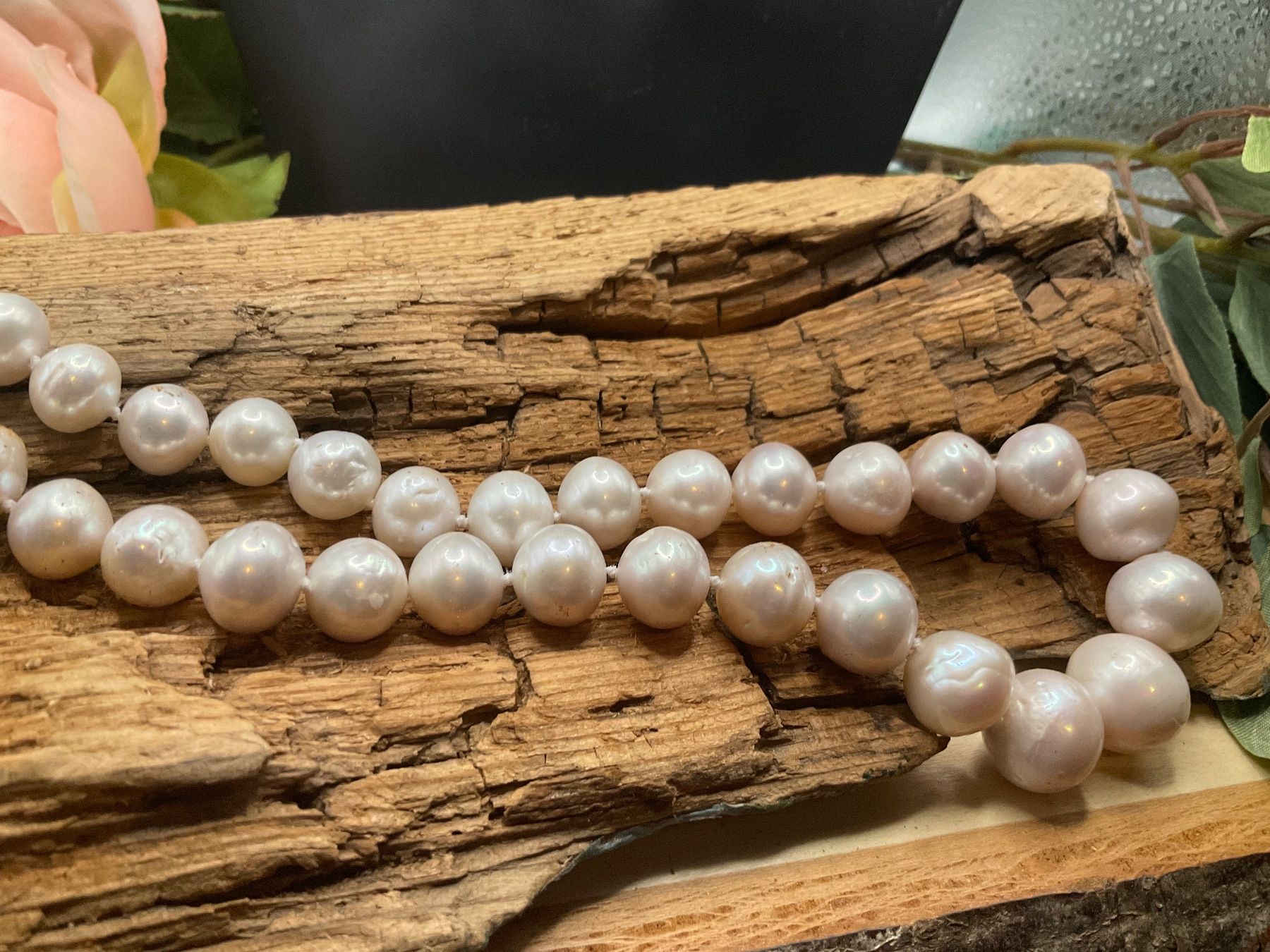 Catenine: Collier mit sehr grossen echten Perlen – Nuovo (secondo la descrizione) da luzern venduto da Alpendorf1 6