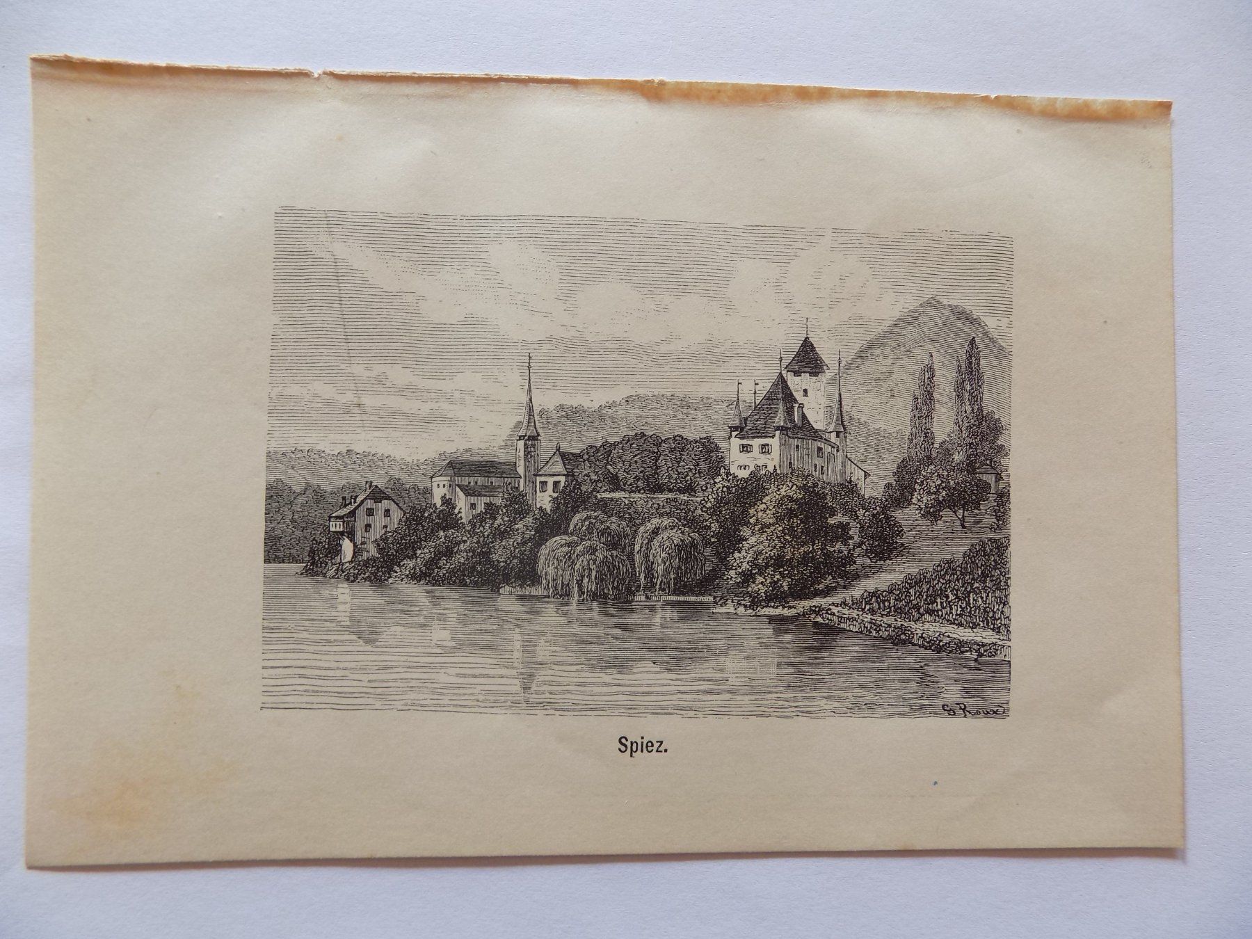 Gravures: Spiez – D'occasion à Risch par Antikfee 1