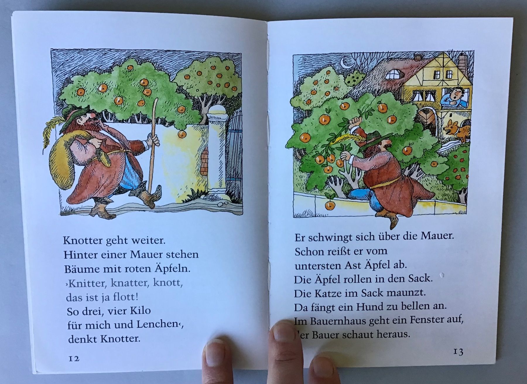 Libri: Lesebär Buch: Der Buchstabenräuber – Usato da Bubendorf venduto da Alpenheidi 5