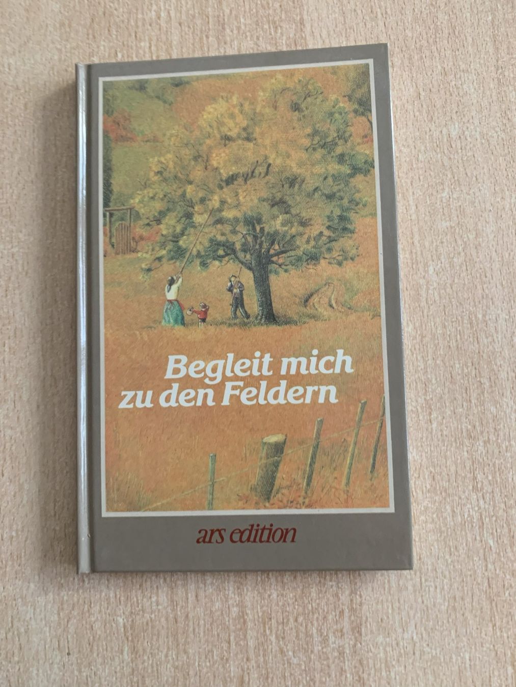 Libri: Begleit mich zu den Feldern – Usato da Reinach BL venduto da Grolifcb