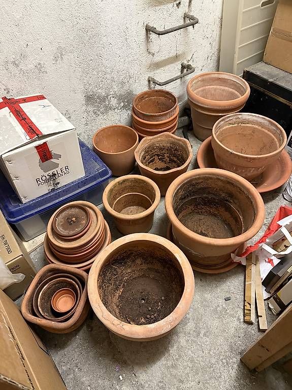 Vasi per fiori: Tontöpfe gebraucht  – Usato da Zürich venduto da Kaya08