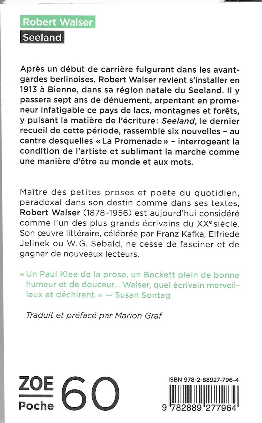 Libri: Robert Walser - Seeland – Usato da Savagnier venduto da Ne2065 1