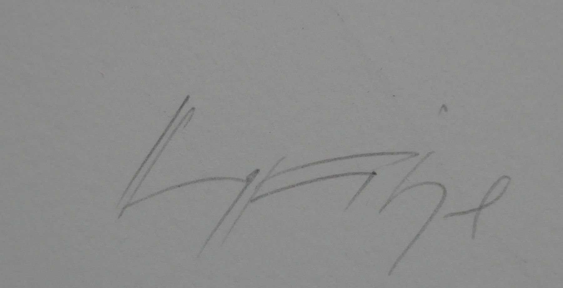 Grafiken & Lithographien: Lithographie Hans Fitze "Symphonie" – Gebraucht aus Wallisellen von plast01 2