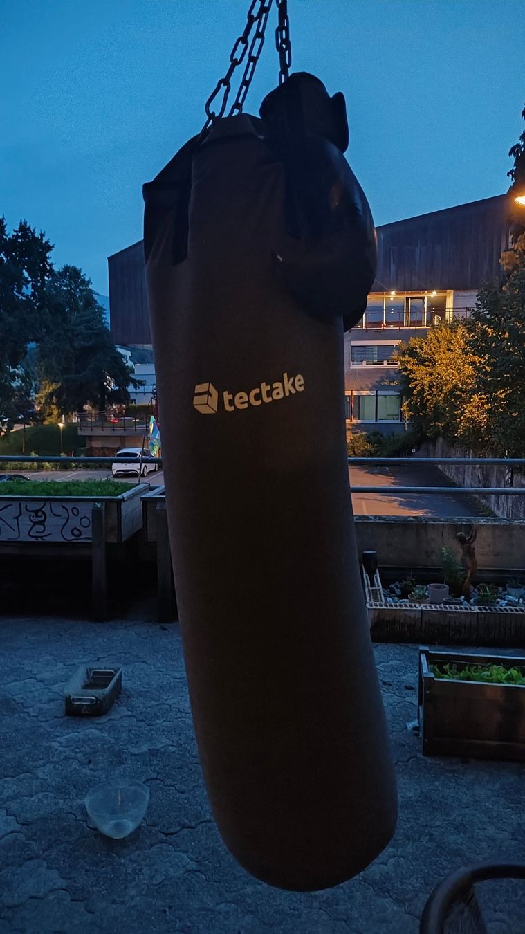 Venum Sacchi da boxe: Boxsack tectake inkl. Venum Boxhandschuhe – Usato da Emmenbrücke venduto da bluebird_
