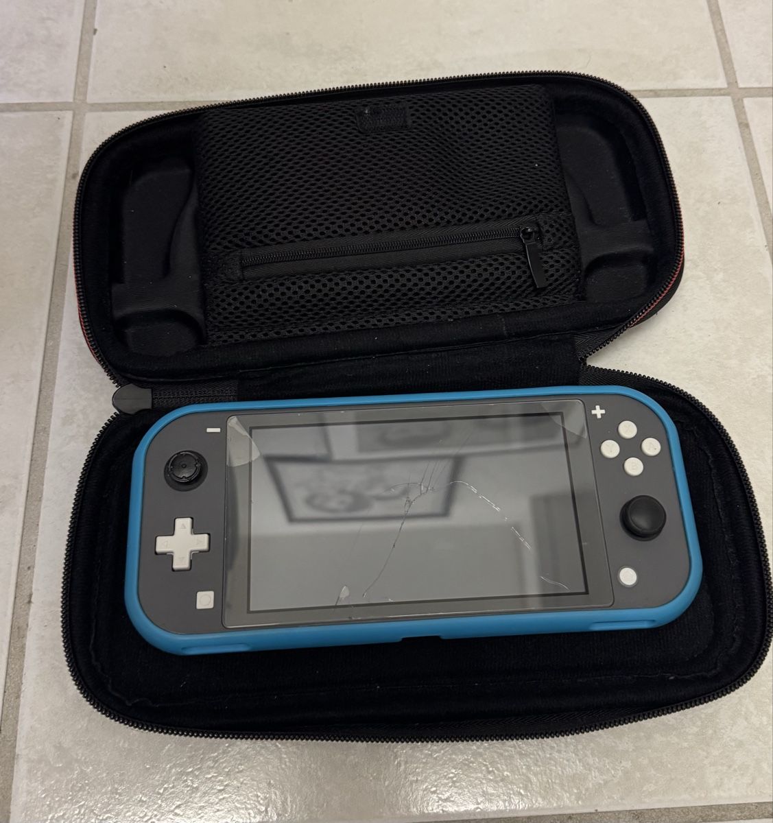 Nintendo Console: Nintendo Switch Lite – Usato da Männedorf venduto da S.Onat