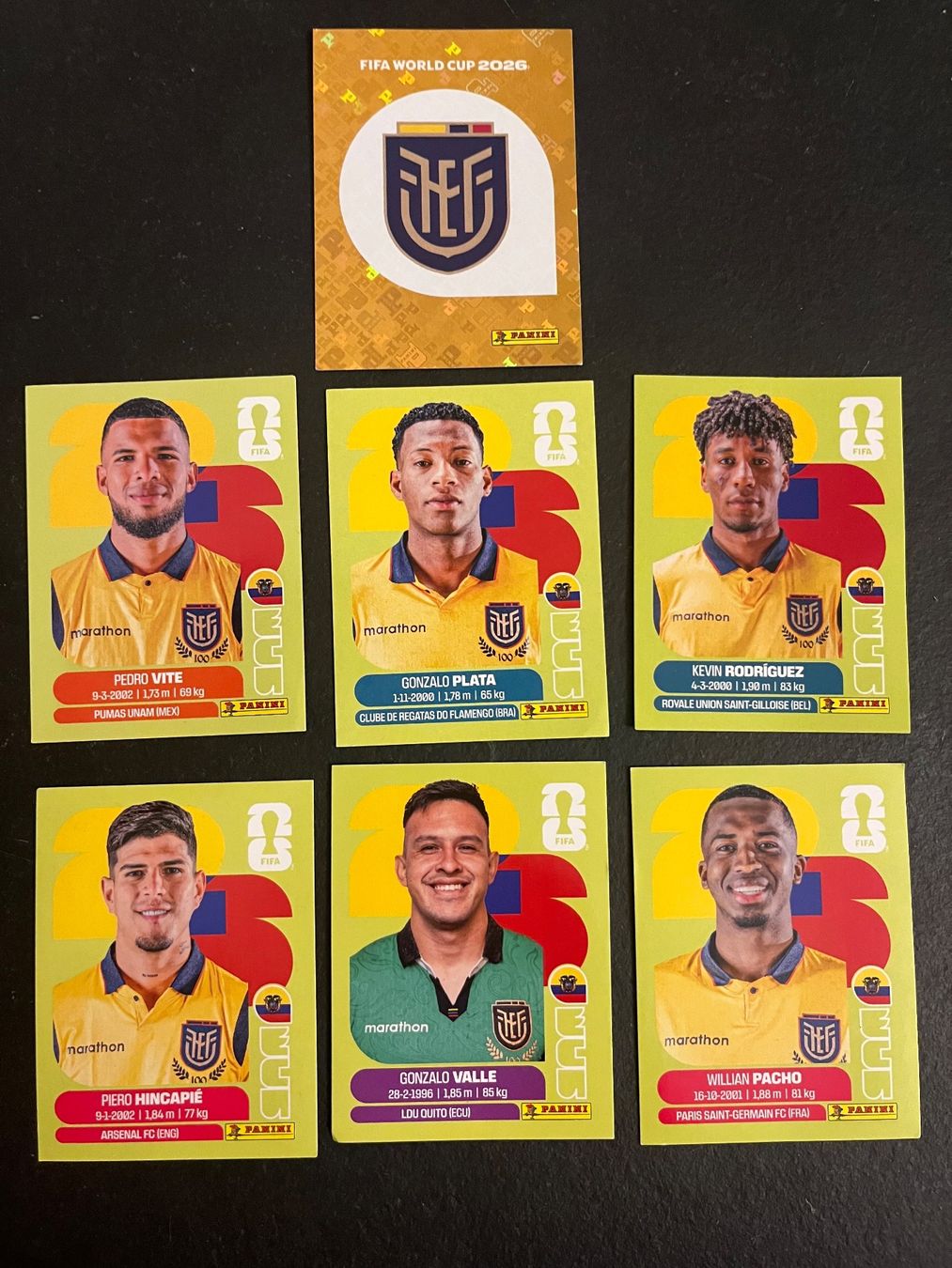 Panini Carte collezionabili: Panini Team Ecuador – Usato da Liebefeld venduto da Blin4ik