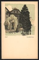 AK Alt - Luzern, Zöpfli