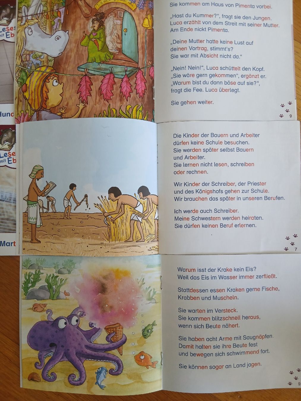 Libri: Lesestart mit Eberhardt 5 Stück – Usato da Bischofszell venduto da Mama_x 1
