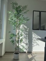 Künstlicher Bambus ohne weißen topf, neuwertig, ca. 170cm