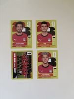 Panini: EGY 3,EGY 11,EGY 13,EGY 15