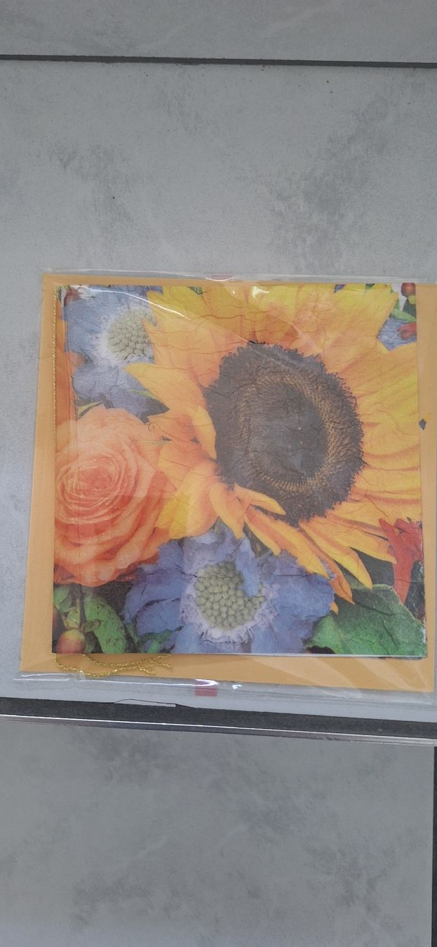 Cartes: Sonnenblumenkarte neu – Neuf (Voir description) à Schwyz par cla_8w6t