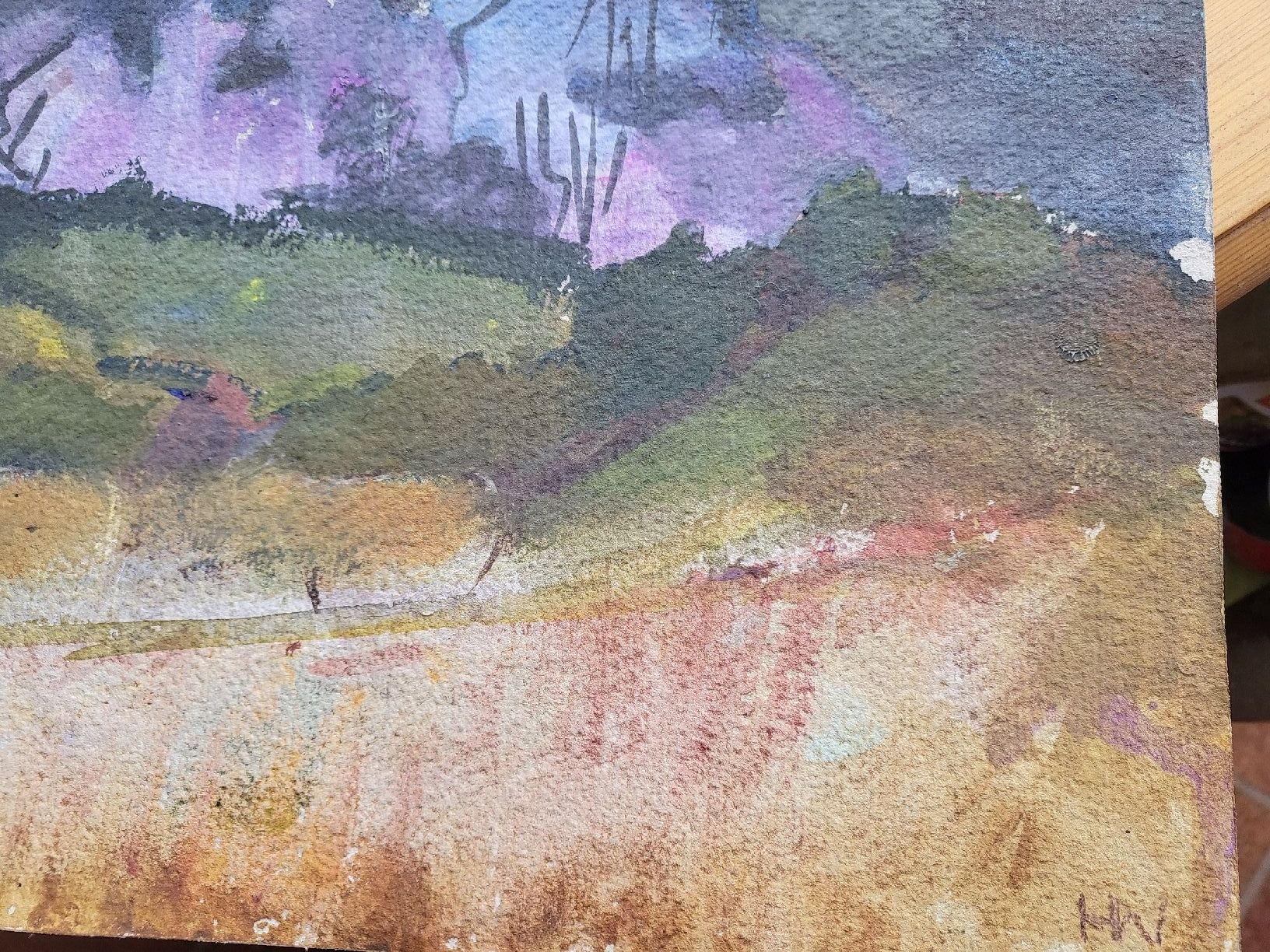 Dipinti: Aquarell von Hans Wieland – Usato da Welschenrohr venduto da Fenn-60 1