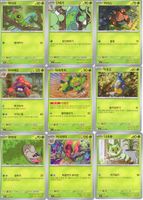 9 koreanische Pokémon Karten der Serie Battle Partners