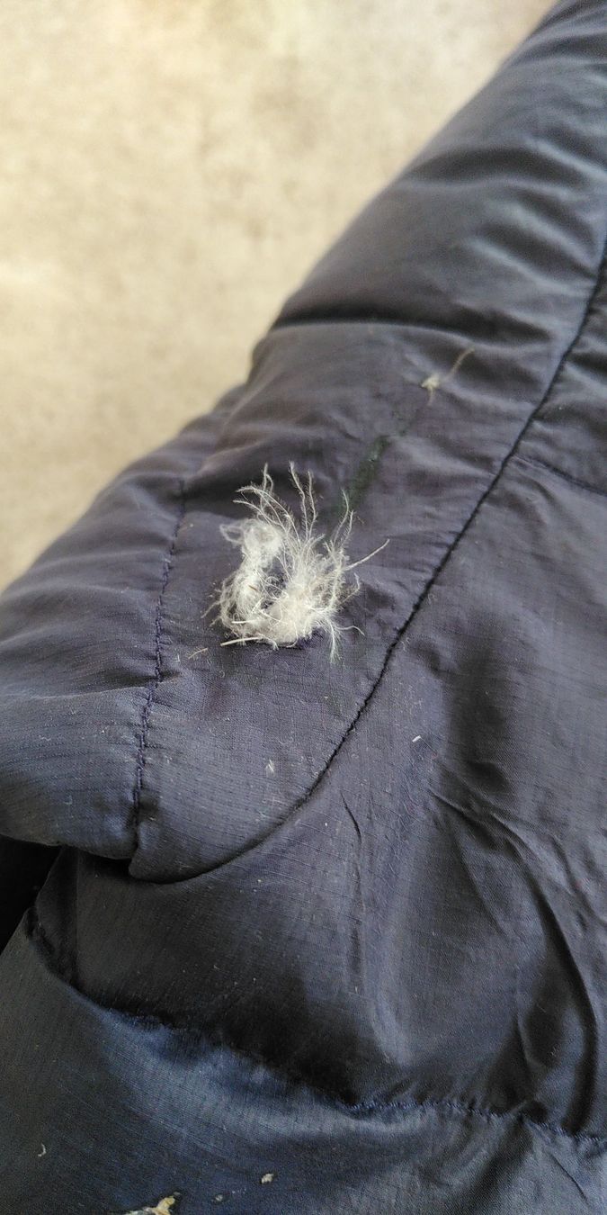 Patagonia Giacche & Cappotti: PATAGONIA coat size 5 – Usato da Blonay venduto da lch_tl26 2