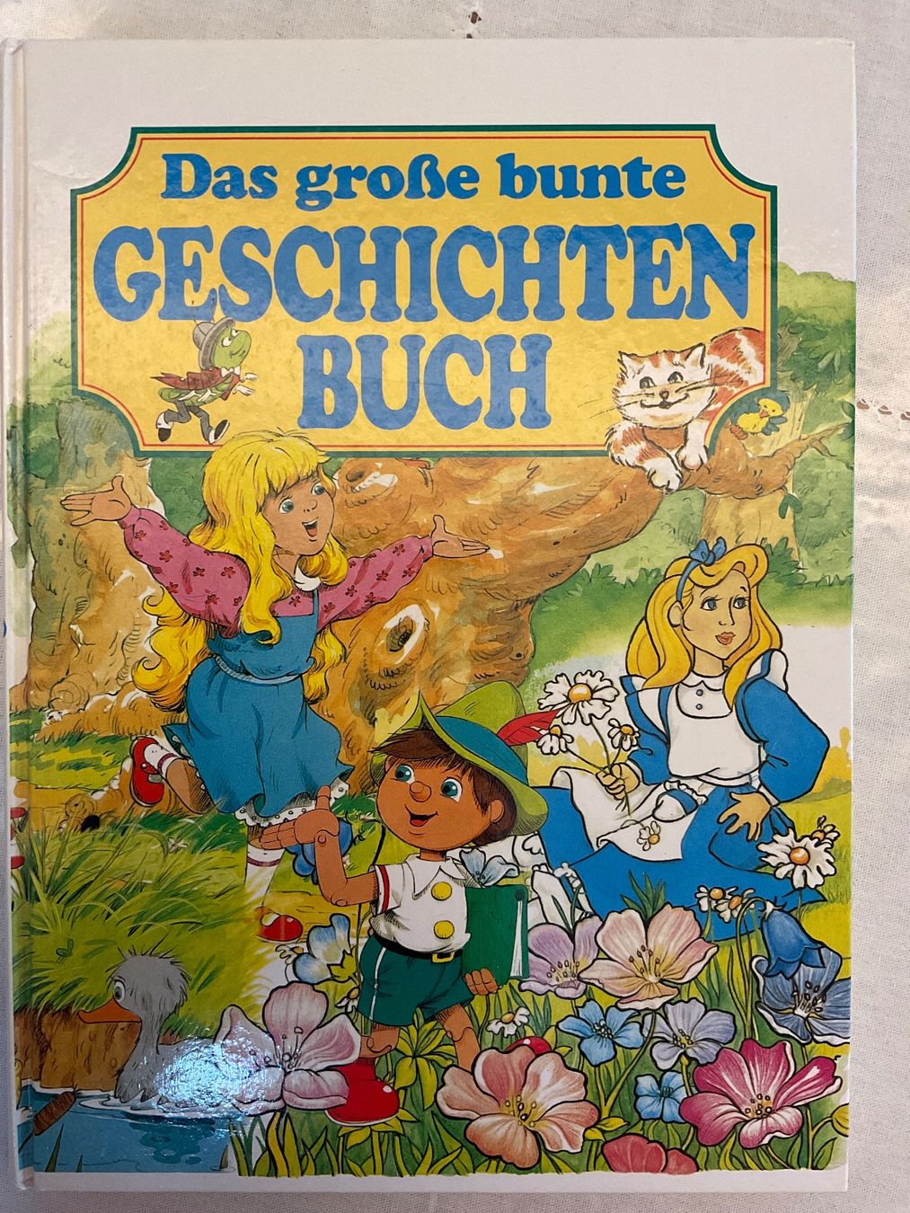 Bücher: Das grosse bunte Geschichtenbuch – Gebraucht aus Dinhard von R.B.G23