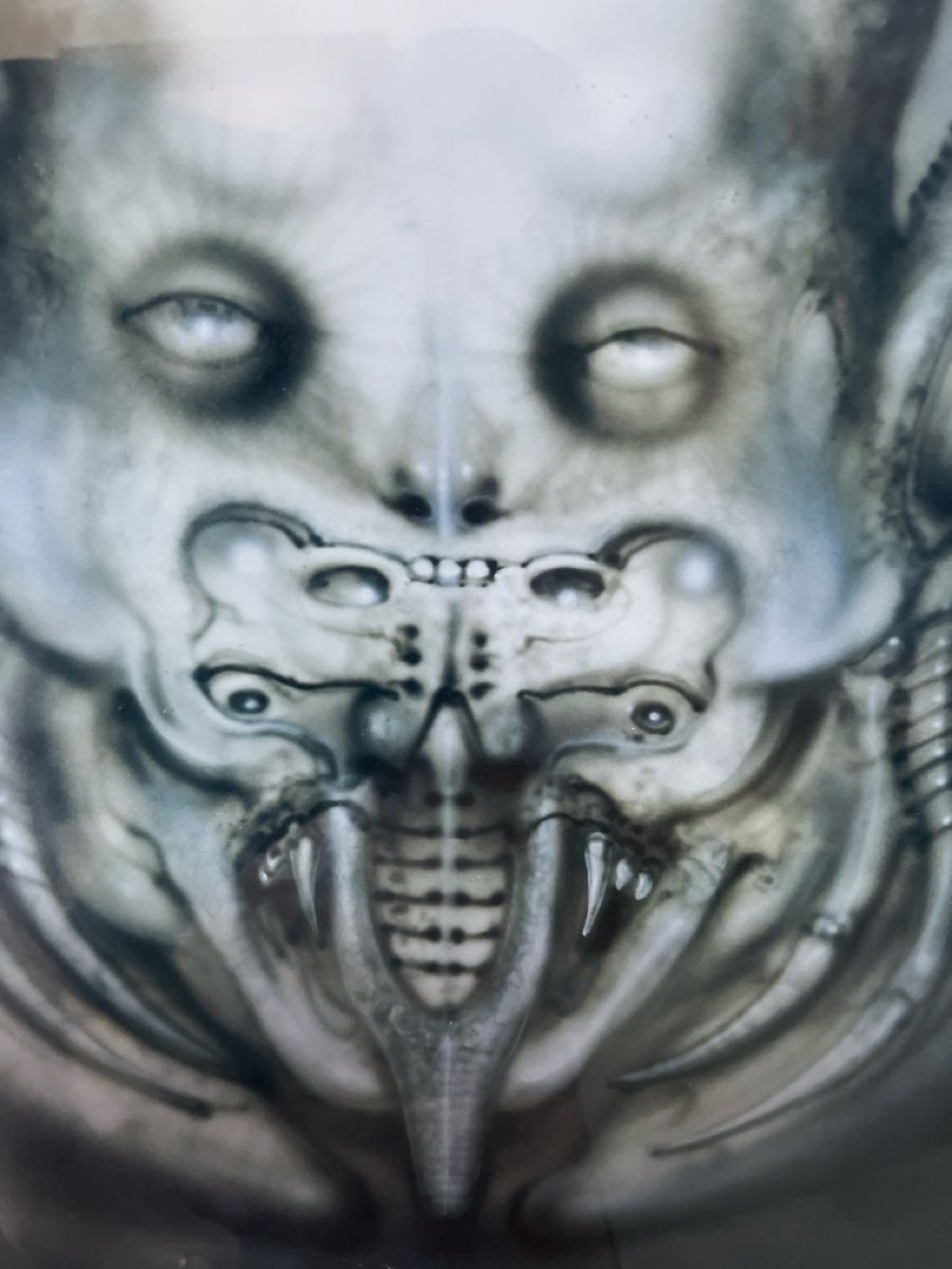 Grafica & Litografie: HR Giger Lithografie – Usato da Glattfelden venduto da Ak_5bL 1