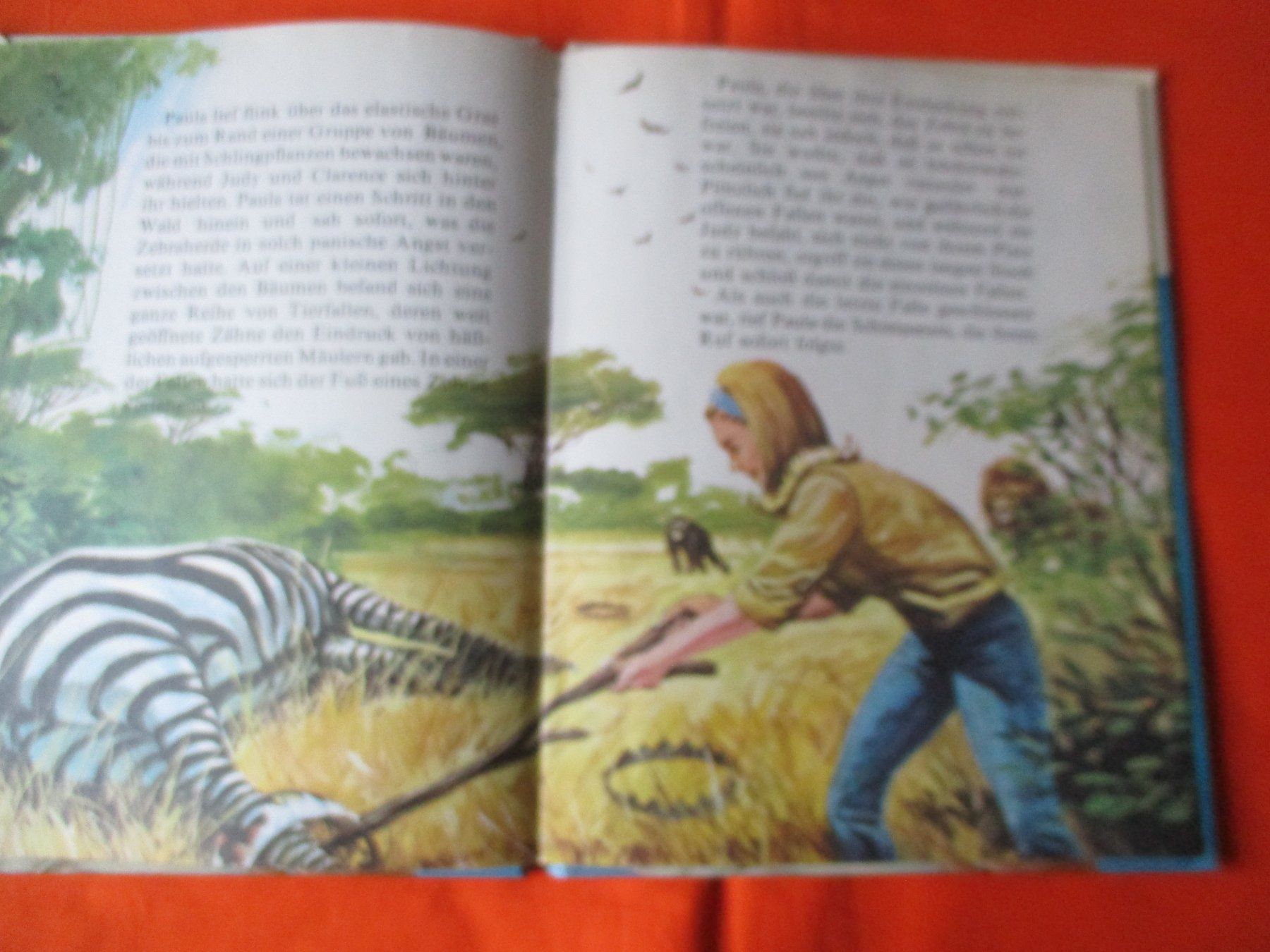 Libri: Buch Daktari 1968, Ivan Tors – Usato da Birsfelden venduto da alles-muss-raus 2