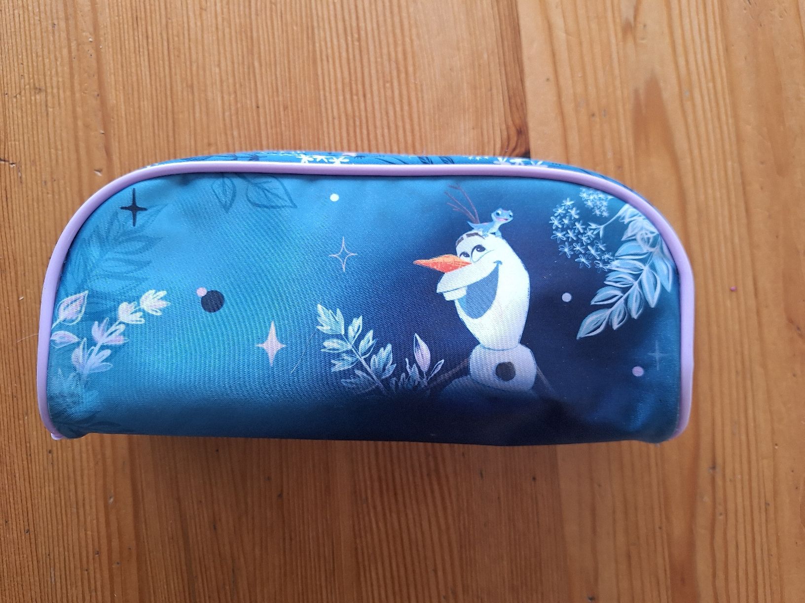 Schüler-Etuis: Frozen-Etui – Gebraucht aus Aesch BL von ChezToKa 1