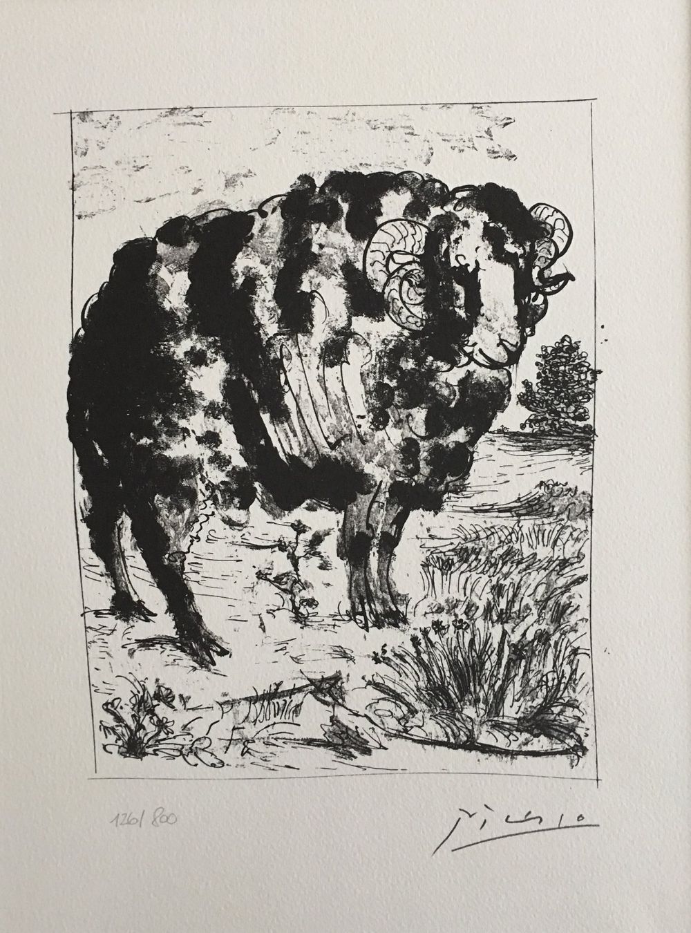 Grafiken & Lithographien: Pablo Picasso   Buffon  "Le Belier" – Gebraucht aus Nennigkofen von Sommersonnen 3