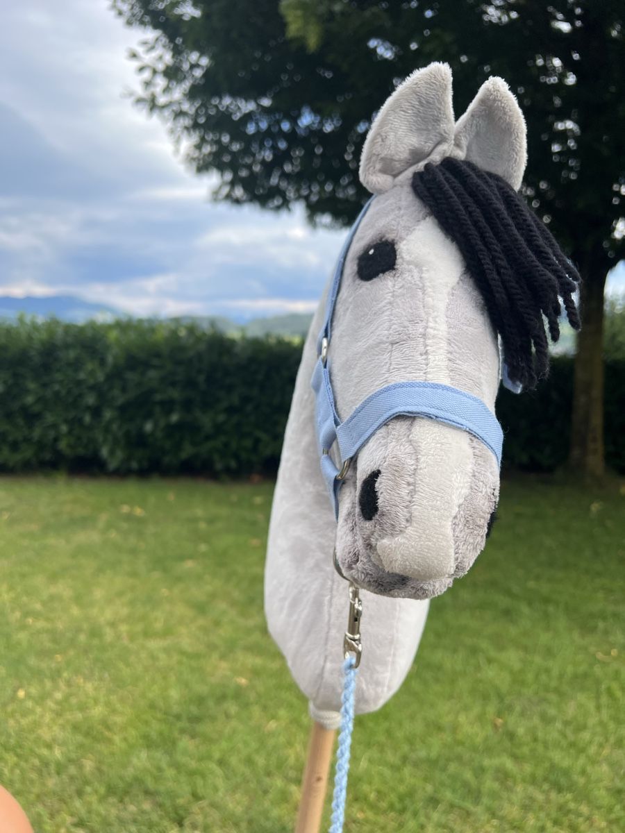 Jouets: Hobby Horse Steckenpferd  – D'occasion à Dietwil par sarn 3