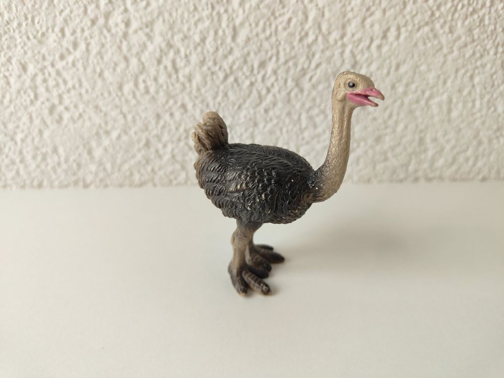 Scopri il mondo di WILD LIFE | schleich