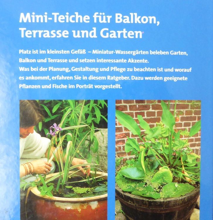 MiniTeiche für Balkon, Terrasse Kaufen auf Ricardo