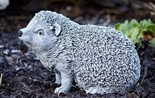 Sculture & Statue: Igel Stein Skulptur Steinfigur Hérisson en pierre – Nuovo e nell'imballaggio originale da Lopagno venduto da CLep 5