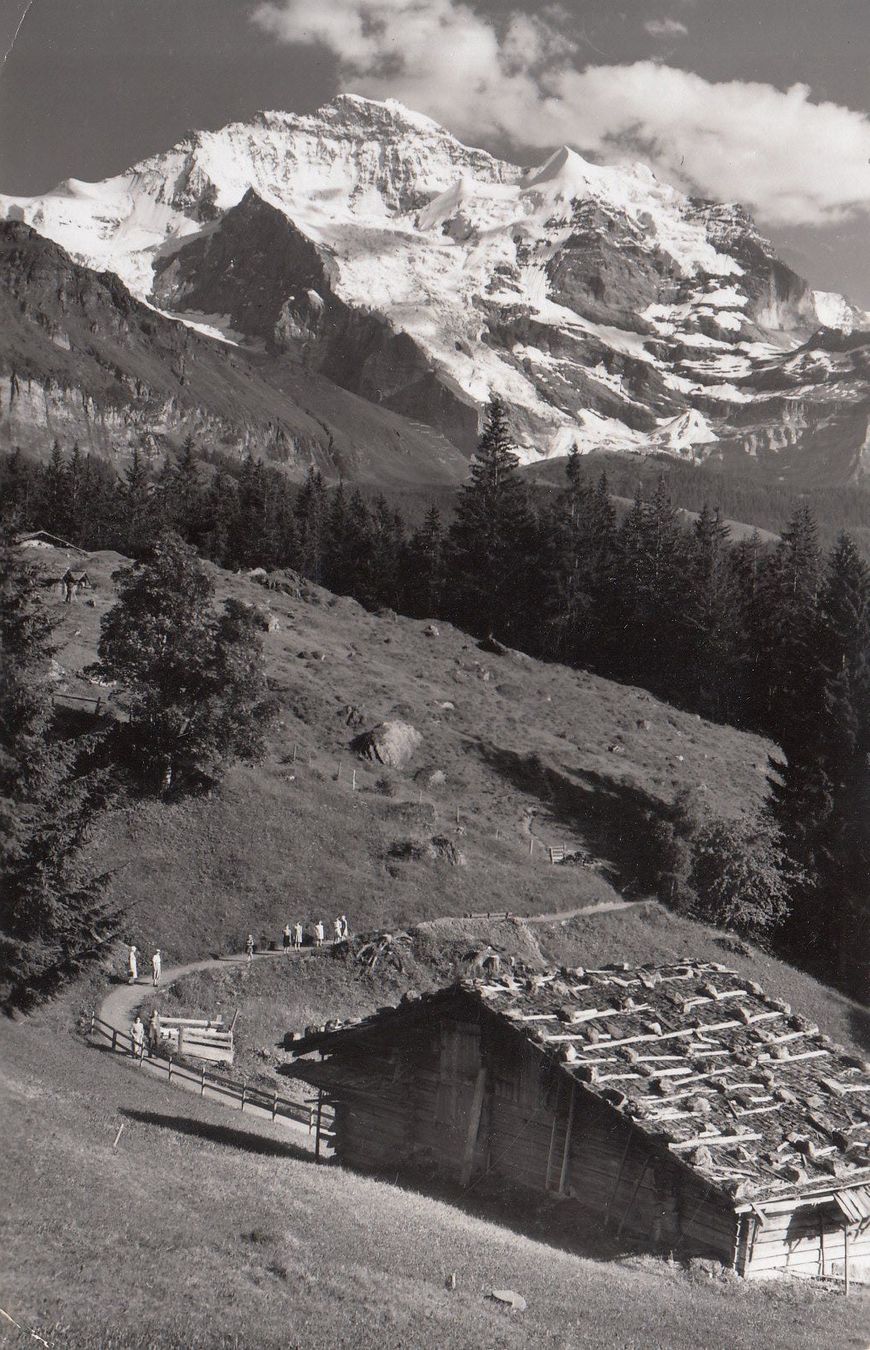 Cartoline postali: Wengen 1955 – Usato da Bürglen TG venduto da StampGraf