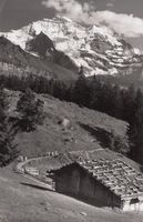 Wengen 1955