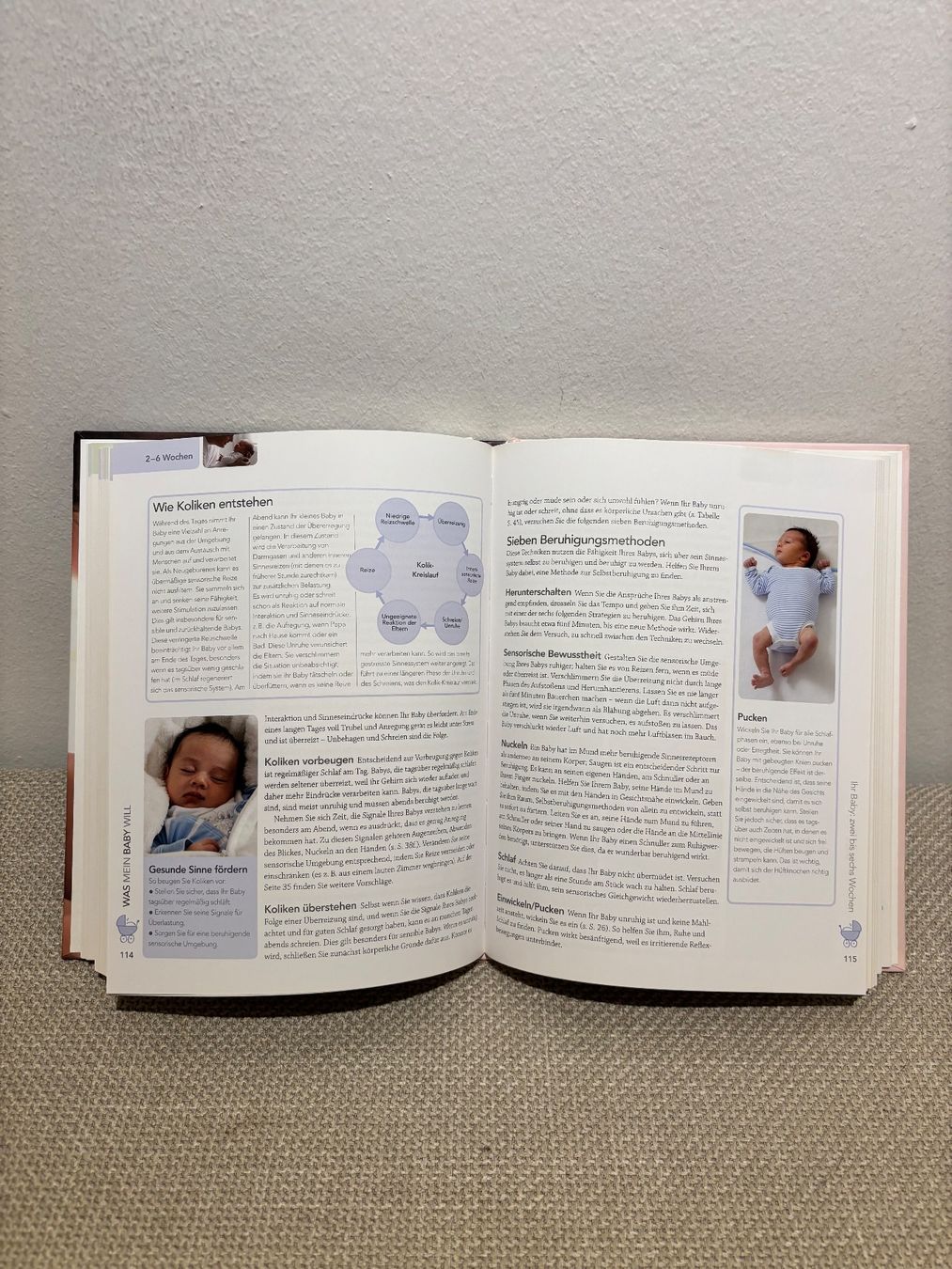 Libri: DK Was mein Baby will – Usato da Bottmingen venduto da ana_5hrv 2