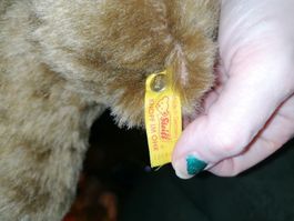 Steiff Bär, Knopf im Ohr, Mohair, Sammlerstück, Top!