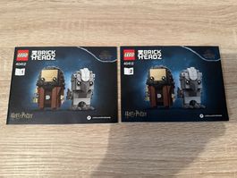 LEGO 40412 Hagrid & Buckbeak Nur die Bauanleitung