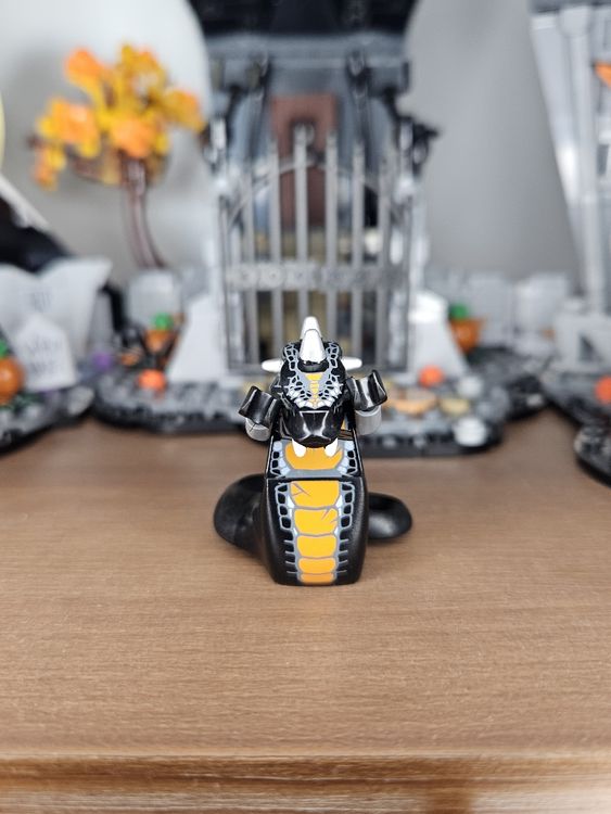 Lego Ninjago Skalidor (Gebraucht) in Basel für CHF 26 – mit Lieferung ...