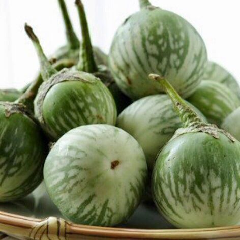 Piante & sementi: 10 SAMEN Eierfrucht BIO Aubergine – Nuovo e nell'imballaggio originale da Rovio venduto da POSITIFFARTandPLANTS 5