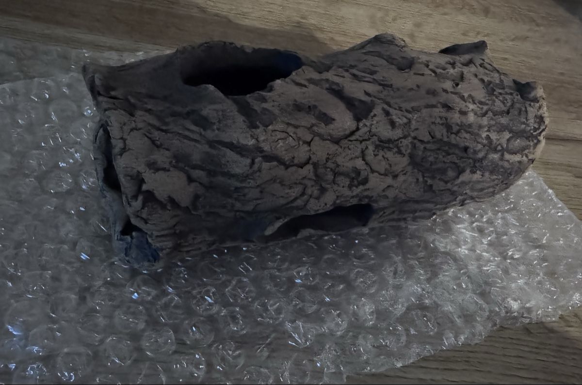 Tutte le decorazioni: Deko Ast-Höhle für Terrarium oder Aquarium. Einzigartig! – Nuovo e nell'imballaggio originale da Moosseedorf venduto da nicu006