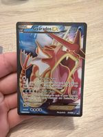 Pokemon Garados EX 114 in EN