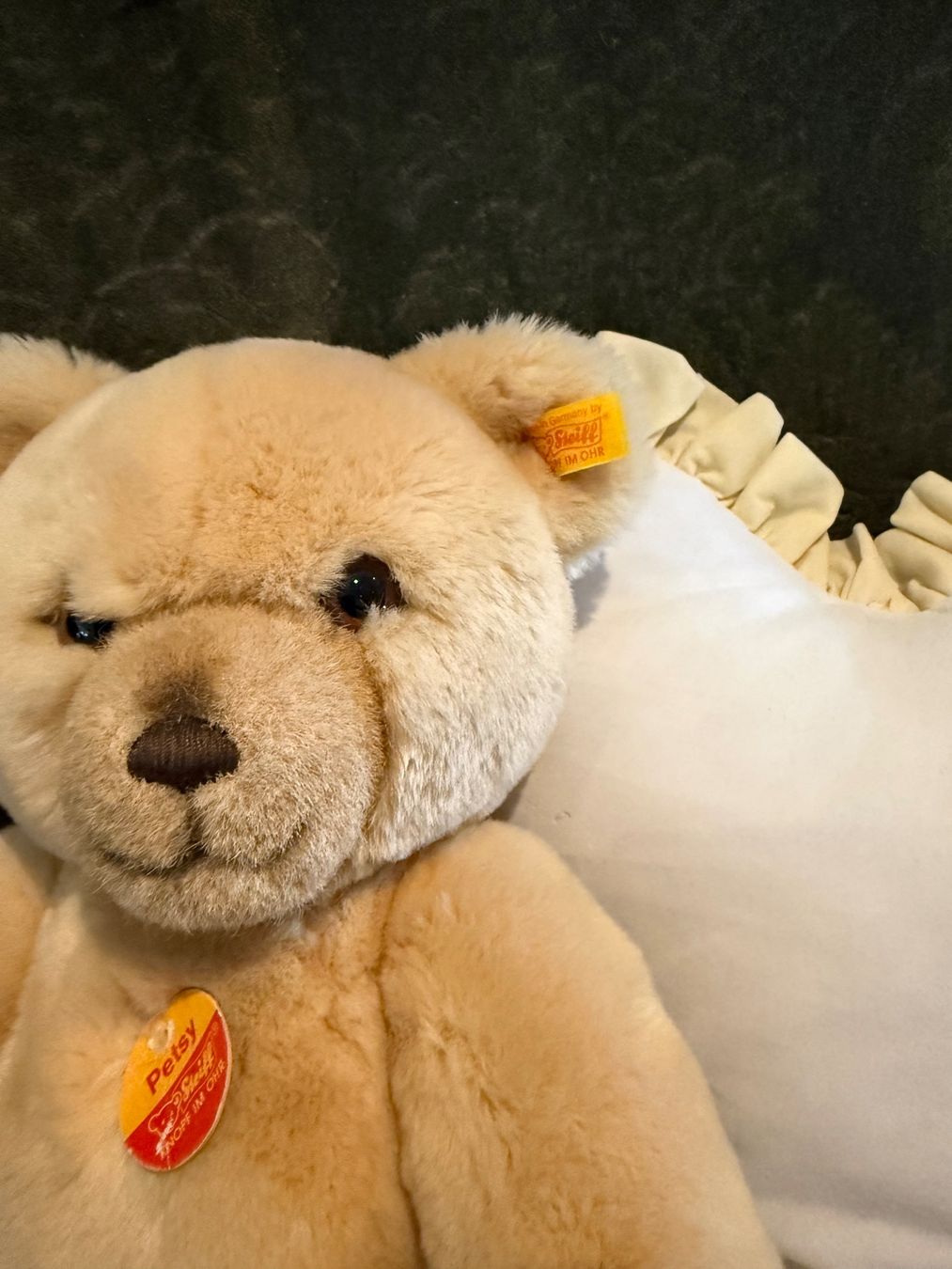 Steiff Giocattoli: Herziger Steiff Teddybär 🧸 – Usato da Schaan venduto da chinchillali 1