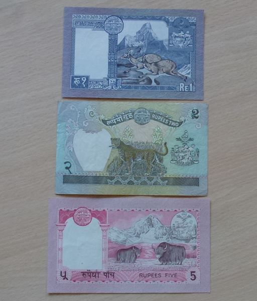 Banconote: Nepal ++ 7 alte Banknoten 1-100 Rupees – Usato da Walkringen venduto da Casablanca777 2