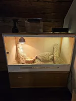 Terrarium mit Möbel und Zubehör