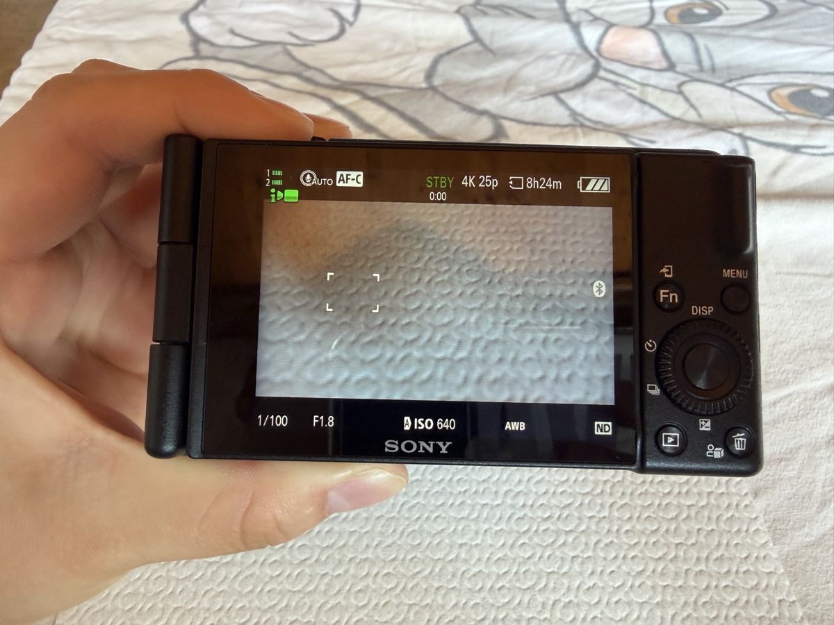 Sony Fotocamera: Sony-ZV II – Usato da Amriswil venduto da flo_r2xt 1